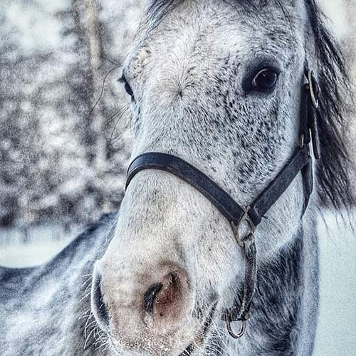 Photo #11943613
