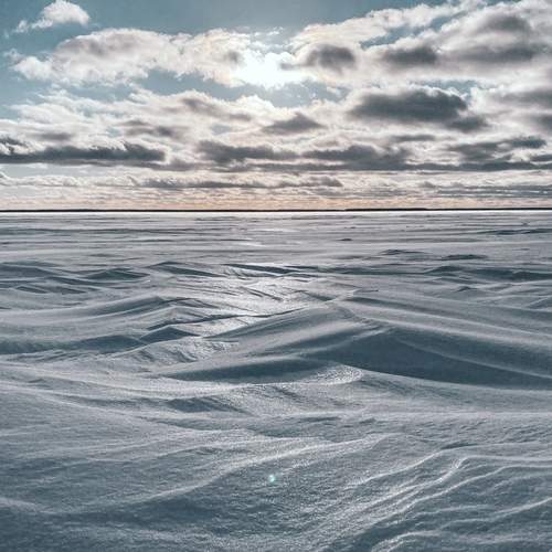 Photo #11943891