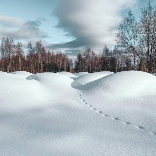 Photo #11943892
