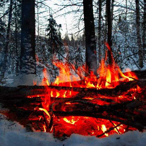 Photo #11944059