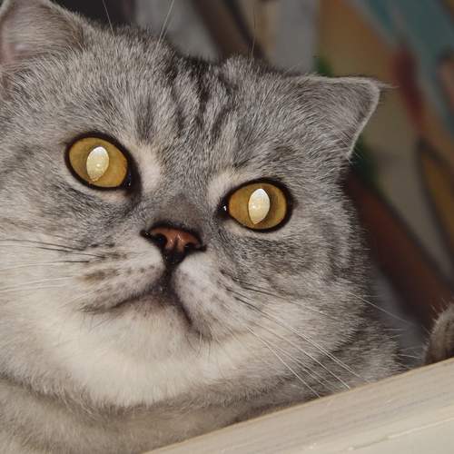 Photo #11944103