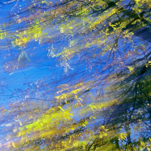 Photo #11944187