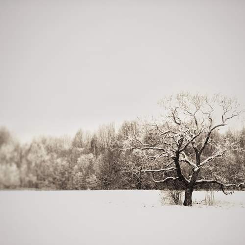 Photo #11944222