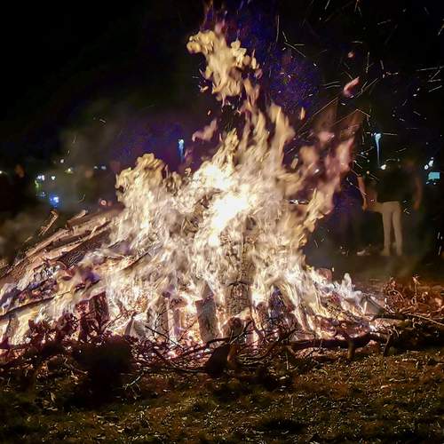 Photo #11944255
