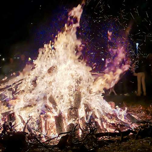 Photo #11944256