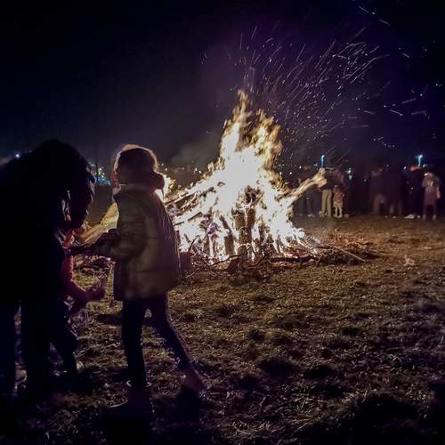 Photo #11944260