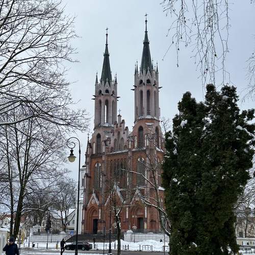 Photo #11944441