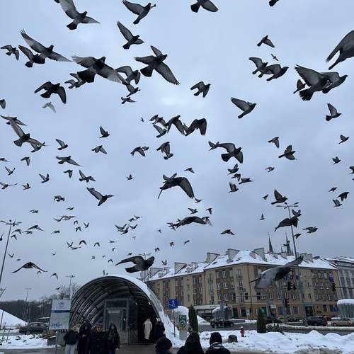 Photo #11944471