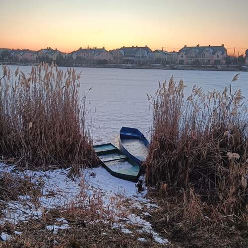 Photo #11944538