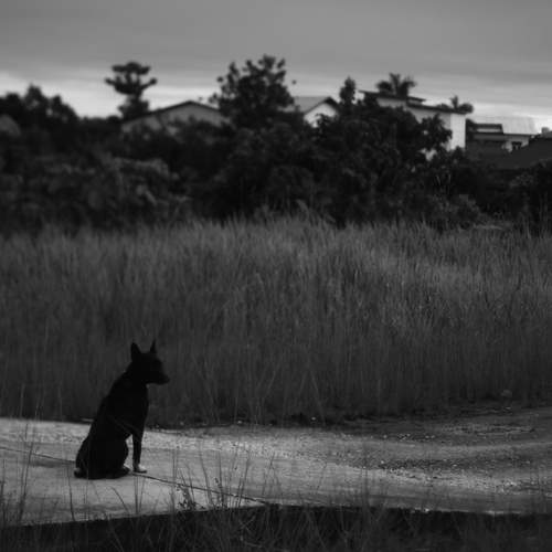 Photo #11944809