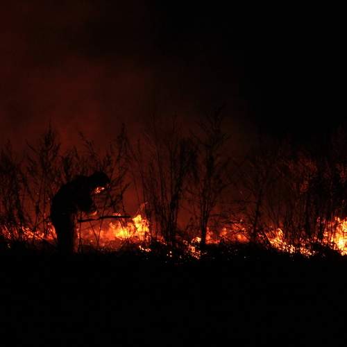 Photo #11944814