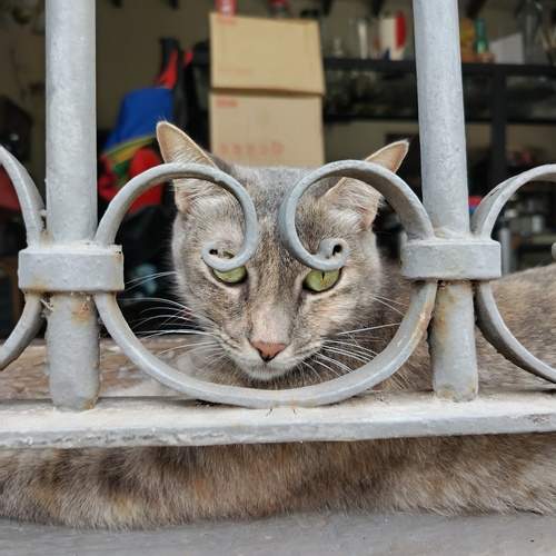 Photo #11944827