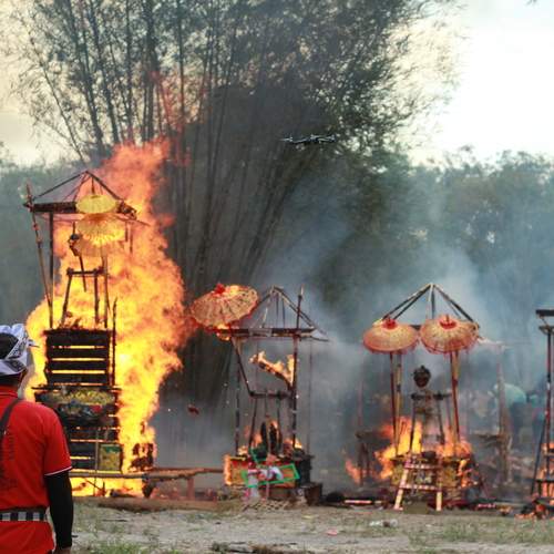 Photo #11944887