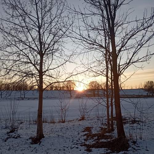 Photo #11944897