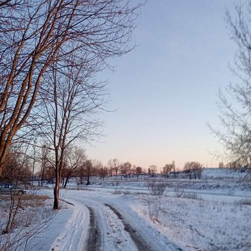 Photo #11944975