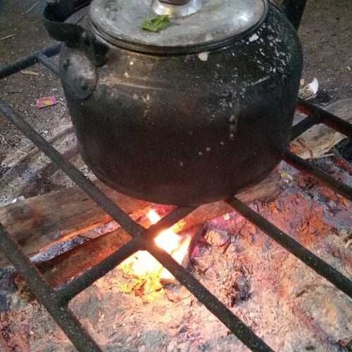 Photo #11945109
