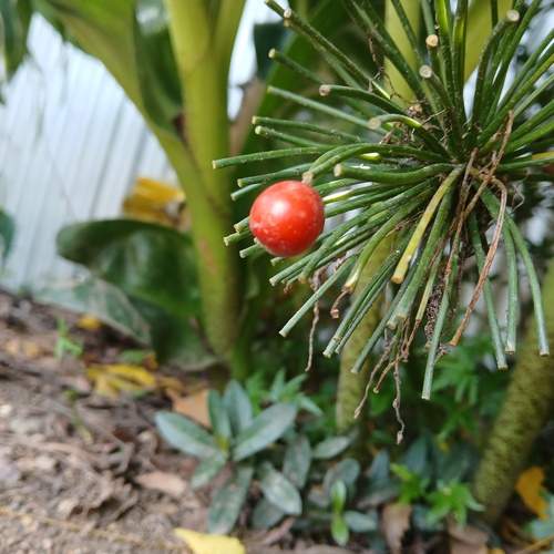 Photo #11945110