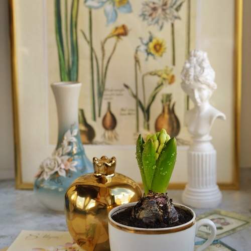 Photo #11945238