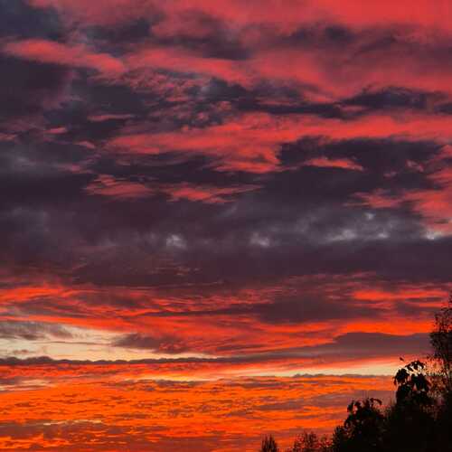 Photo #11945272