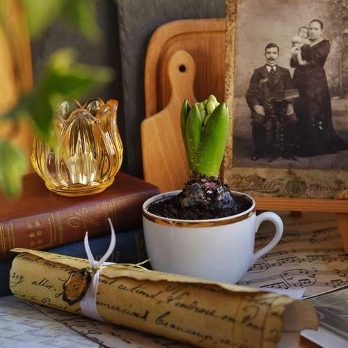 Photo #11945280