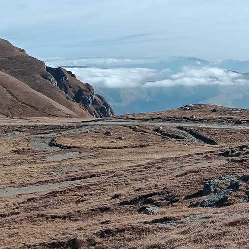 Photo #11945391