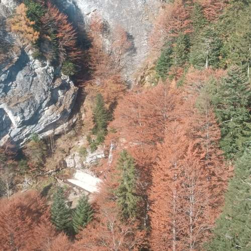 Photo #11945392