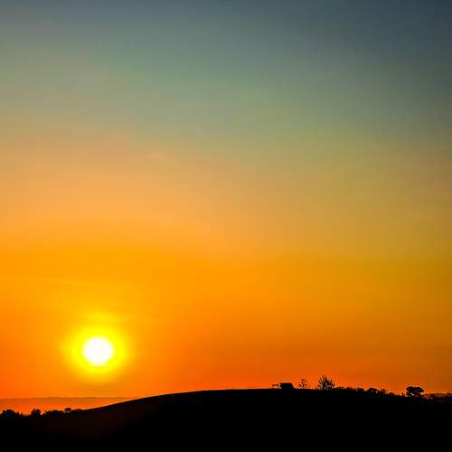 Photo #11945478