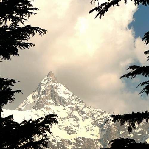 Photo #11945576