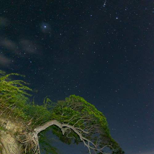 Photo #11945615