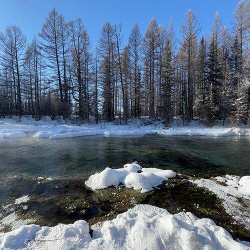 Photo #11945673
