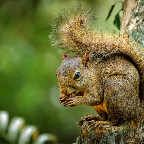 Photo #11945690
