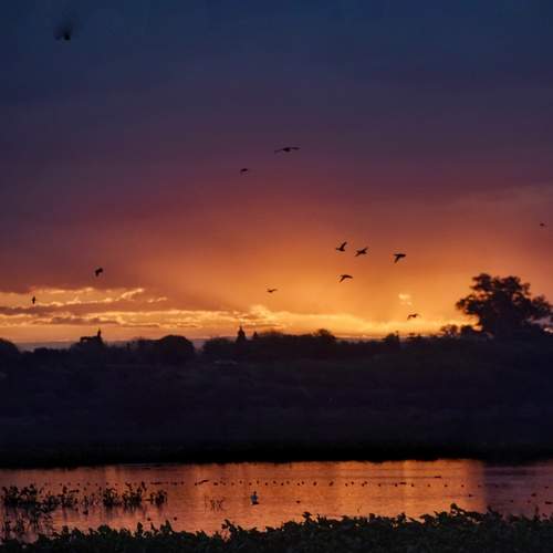 Photo #11945715