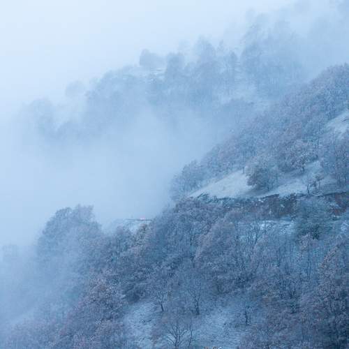 Photo #11945745