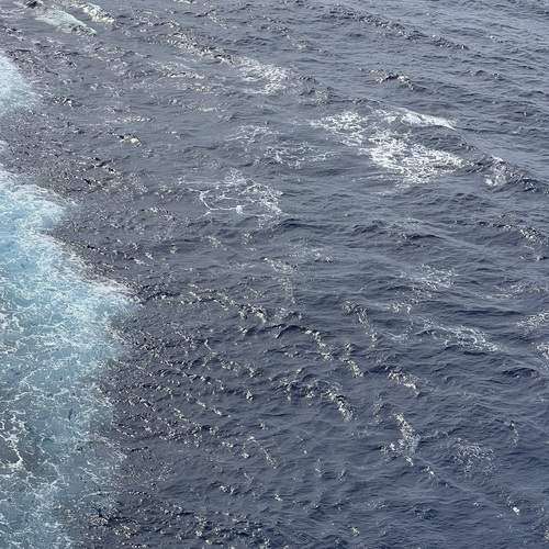 Photo #11945799