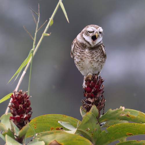 Фотография #11945829