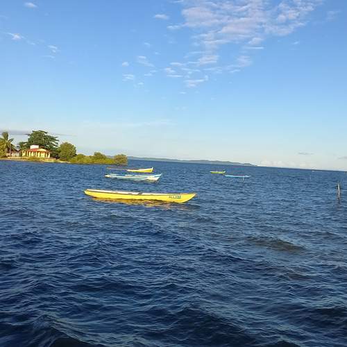 Photo #11945928