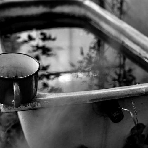 Photo #11945966