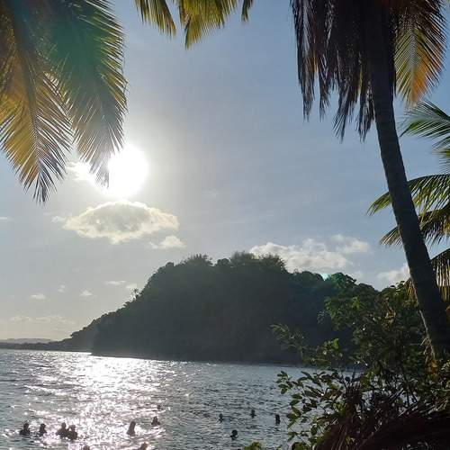 Photo #11945982