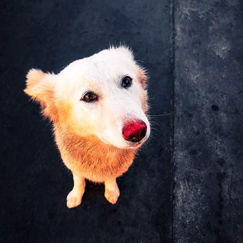 Photo #11946084