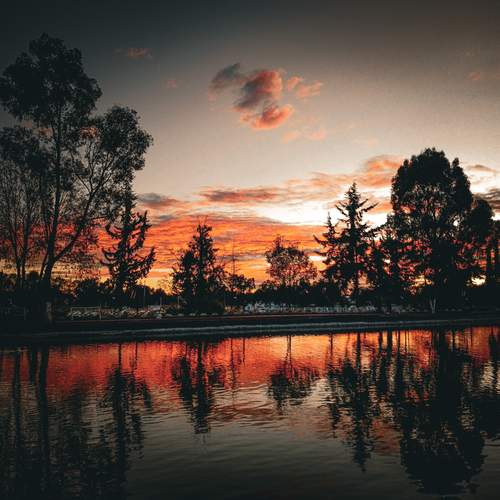 Photo #11946102
