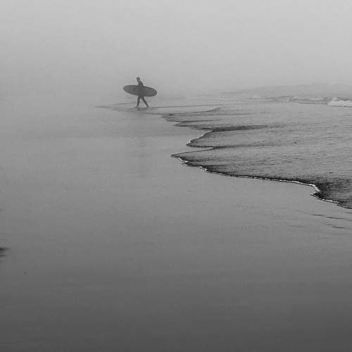 Photo #11946140