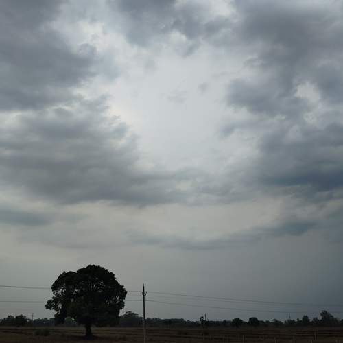 Photo #11946216