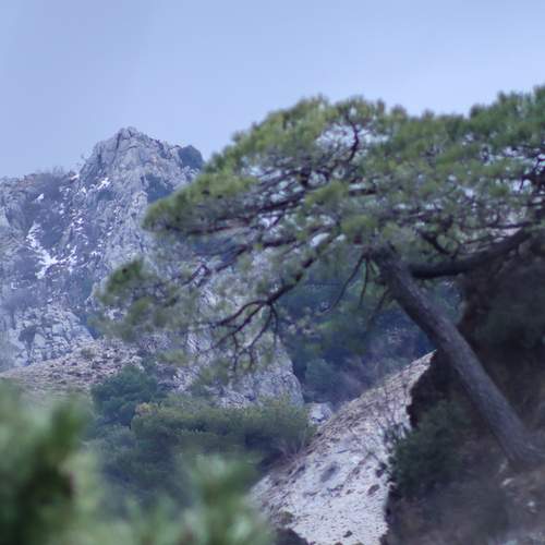 Photo #11946294