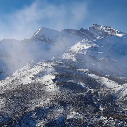 Photo #11946345