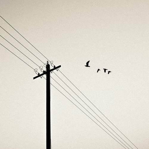 Photo #11946361