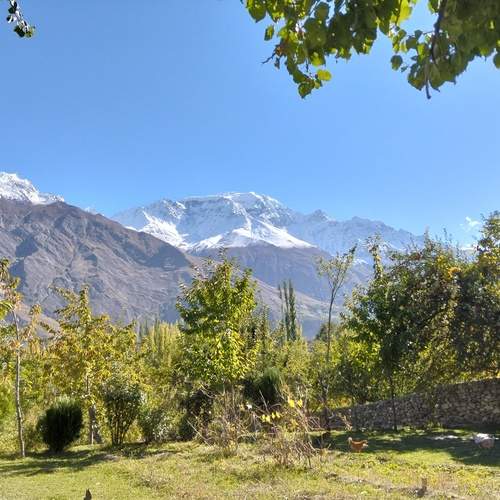 Photo #11946384