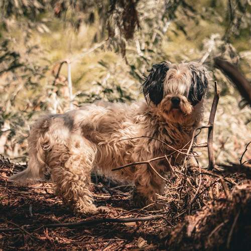 Photo #11946415
