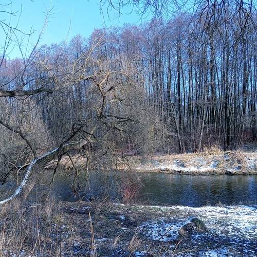 Photo #11946420