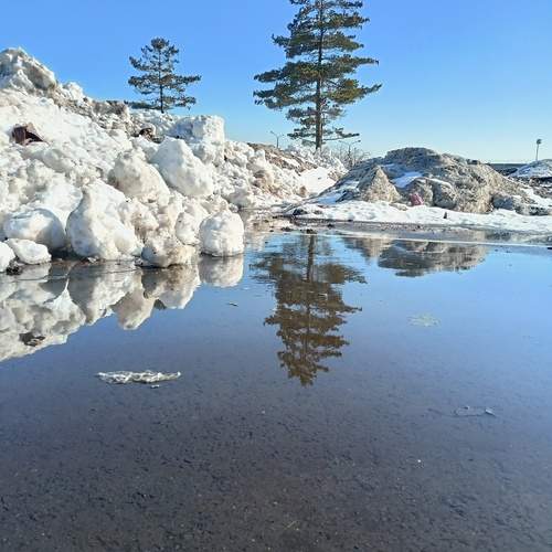 Photo #11946458