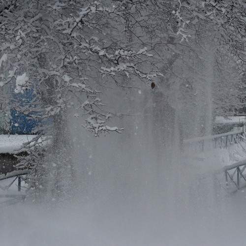 Photo #11946473